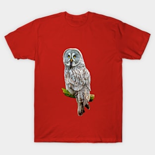 Great Grey Owl T-Shirt